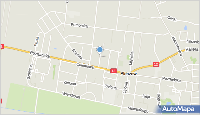 Pleszew, Kopernika Mikołaja, mapa Pleszew