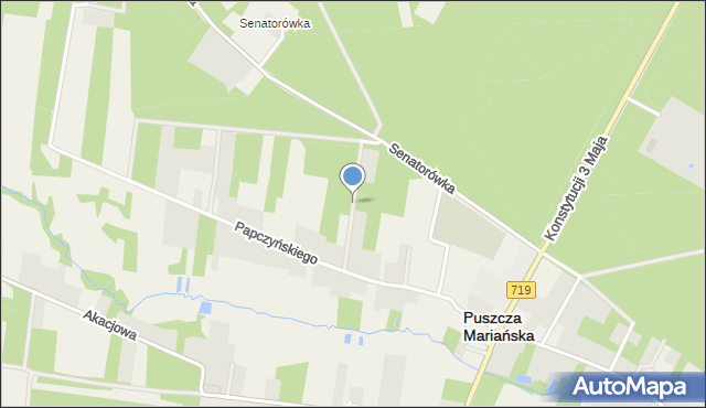 Puszcza Mariańska, Kozłowskiego Stanisława, mapa Puszcza Mariańska