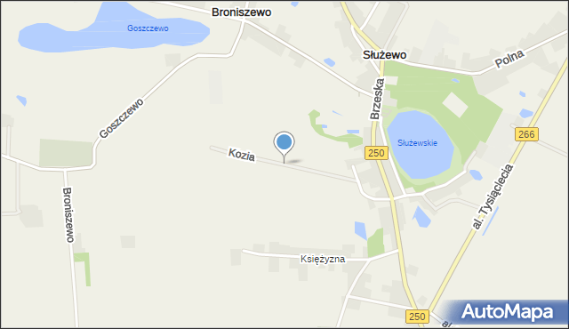 Służewo gmina Aleksandrów Kujawski, Kozia, mapa Służewo gmina Aleksandrów Kujawski