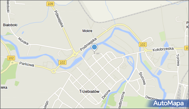 Trzebiatów powiat gryficki, Kozia, mapa Trzebiatów powiat gryficki