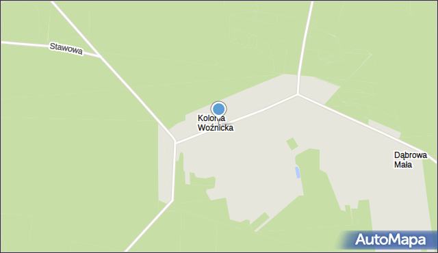 Woźniki powiat lubliniecki, Kolonia Woźnicka, mapa Woźniki powiat lubliniecki