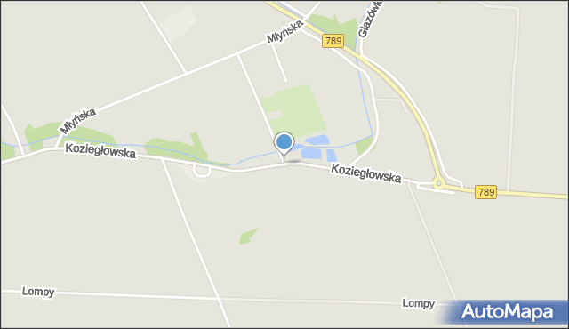 Woźniki powiat lubliniecki, Koziegłowska, mapa Woźniki powiat lubliniecki