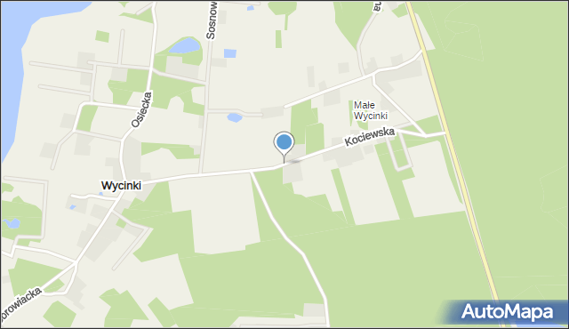 Wycinki gmina Osiek, Kociewska, mapa Wycinki gmina Osiek