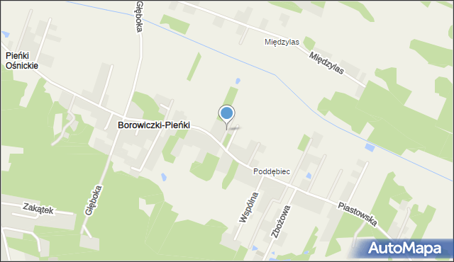 Borowiczki-Pieńki, Krakowska, mapa Borowiczki-Pieńki