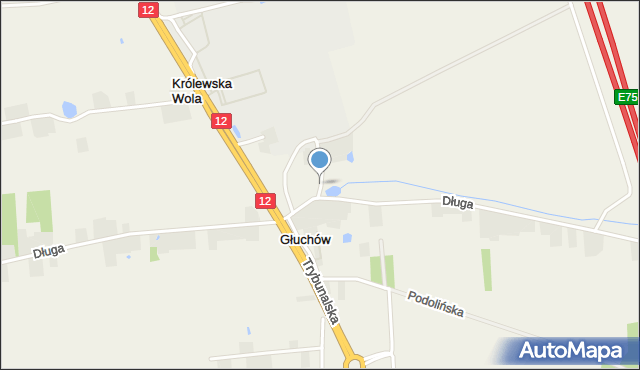 Głuchów gmina Tuszyn, Krzywa, mapa Głuchów gmina Tuszyn