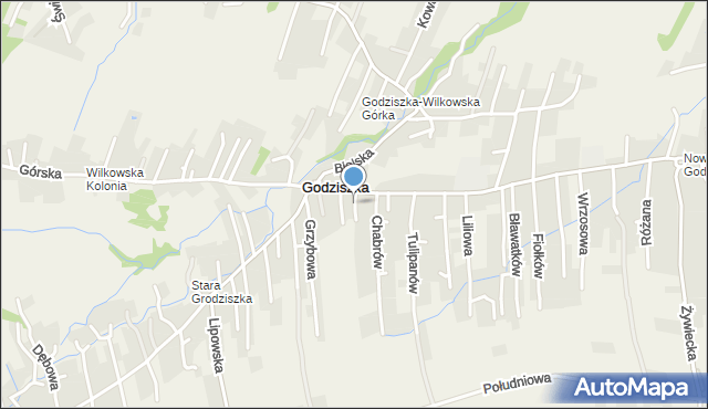 Godziszka gmina Buczkowice, Krokusów, mapa Godziszka gmina Buczkowice