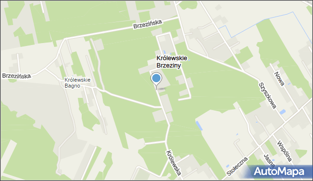 Królewskie Brzeziny, Królewskie Brzeziny, mapa Królewskie Brzeziny