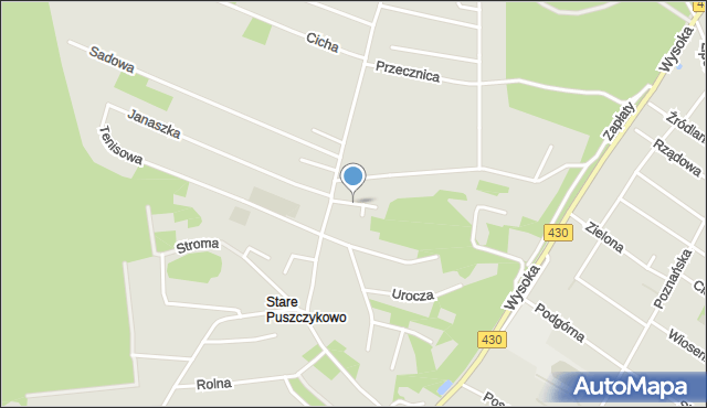 Puszczykowo powiat poznański, Kręta, mapa Puszczykowo powiat poznański