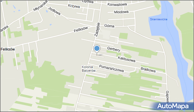 Skierniewice, Krokusowa, mapa Skierniewic