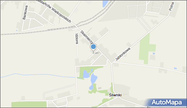 Śliwniki gmina Nowe Skalmierzyce, Krótka, mapa Śliwniki gmina Nowe Skalmierzyce