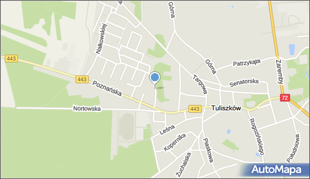 Tuliszków, Krasickiego Janka, mapa Tuliszków