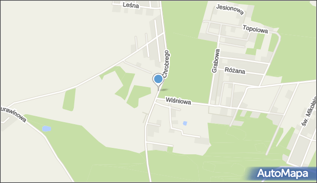 Wilkszyn, Króla Bolesława Chrobrego, mapa Wilkszyn