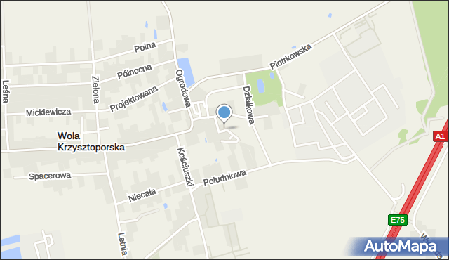 Wola Krzysztoporska, Krzywa, mapa Wola Krzysztoporska