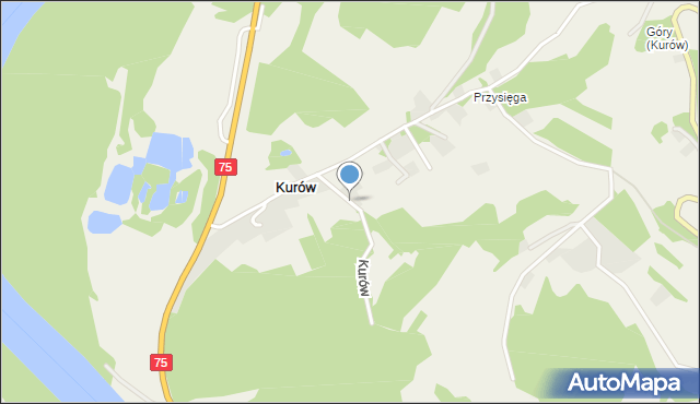 Kurów gmina Chełmiec, Kurów, mapa Kurów gmina Chełmiec