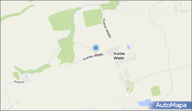 Kurów Wielki, Kurów Wielki, mapa Kurów Wielki