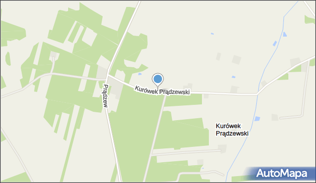 Kurówek Prądzewski, Kurówek Prądzewski, mapa Kurówek Prądzewski