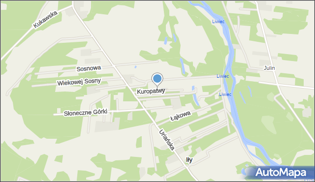 Strachów gmina Jadów, Kuropatwy, mapa Strachów gmina Jadów