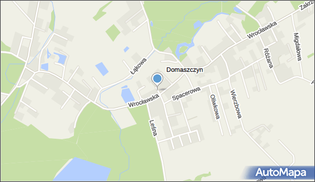 Domaszczyn, Kwiatowa, mapa Domaszczyn