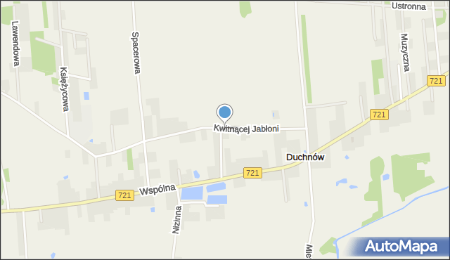 Duchnów, Kwitnącej Jabłoni, mapa Duchnów