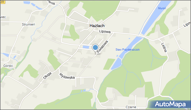 Hażlach, Kwiatowa, mapa Hażlach