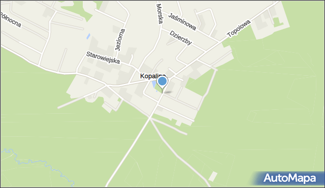 Kopalino, Kwiatowa, mapa Kopalino