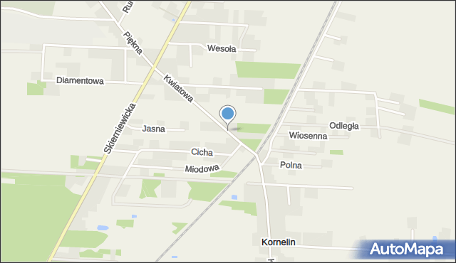 Kozłów Biskupi, Kwiatowa, mapa Kozłów Biskupi