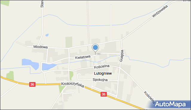 Lutogniew, Kwiatowa, mapa Lutogniew