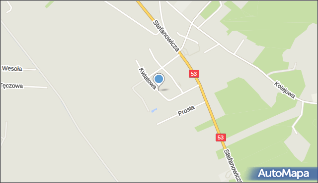 Myszyniec, Kwiatowa, mapa Myszyniec