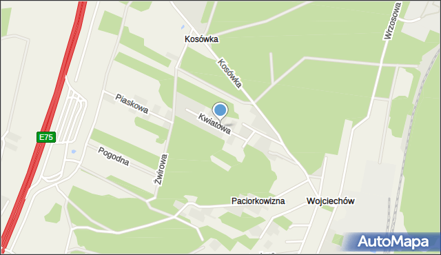 Paciorkowizna, Kwiatowa, mapa Paciorkowizna