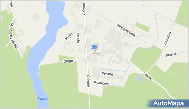 Radzyny, Kwiatowa, mapa Radzyny