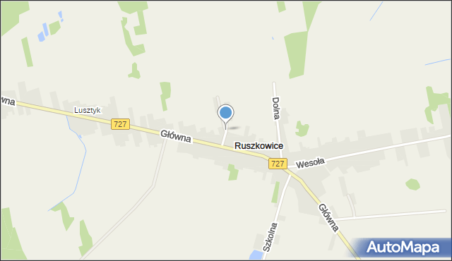 Ruszkowice gmina Borkowice, Kwiatowa, mapa Ruszkowice gmina Borkowice