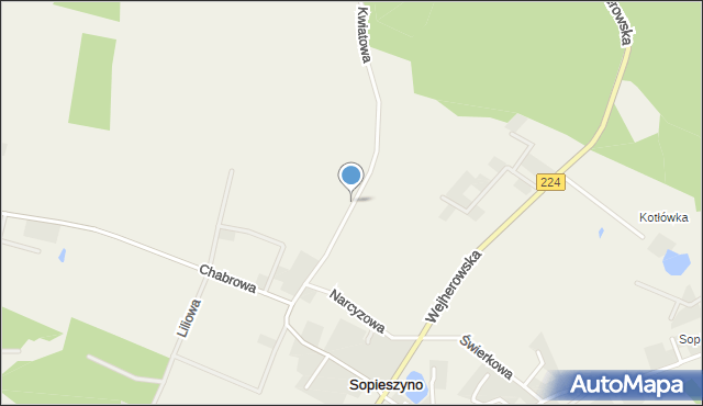 Sopieszyno, Kwiatowa, mapa Sopieszyno