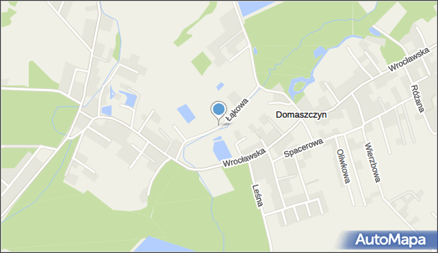 Domaszczyn, Łąkowa, mapa Domaszczyn