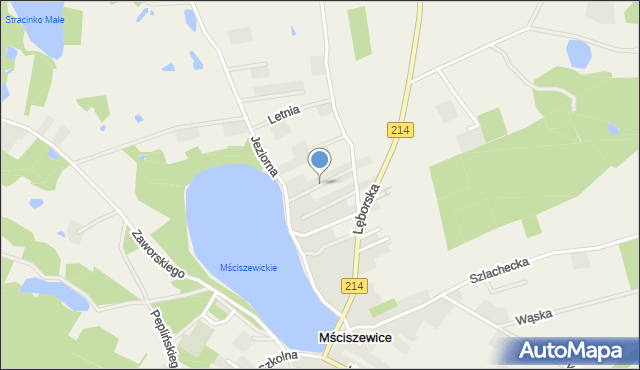 Mściszewice, Łabędzia, mapa Mściszewice