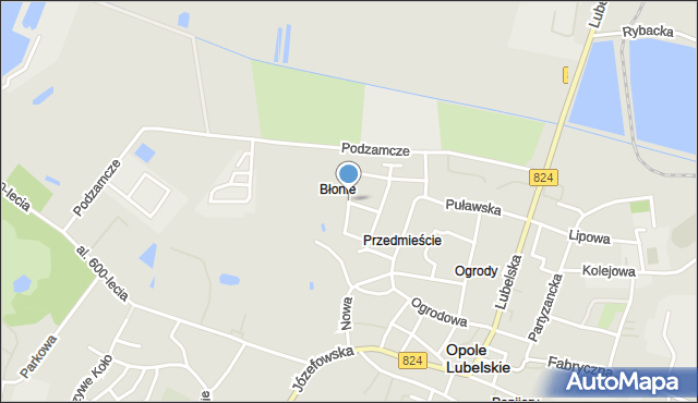 Opole Lubelskie, Łąkowa, mapa Opole Lubelskie