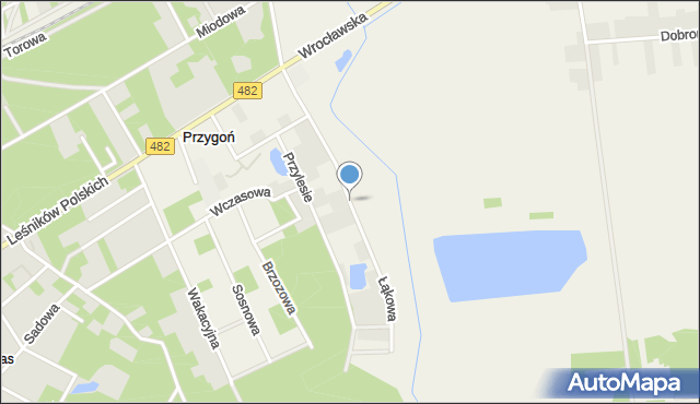 Przygoń, Łąkowa, mapa Przygoń