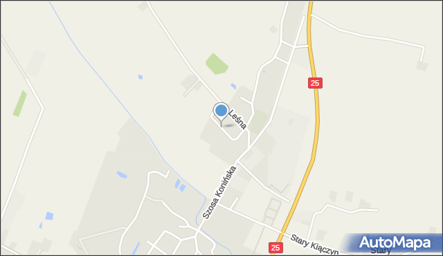 Stawiszyn powiat kaliski, Łąkowa, mapa Stawiszyn powiat kaliski