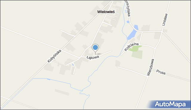 Wielowieś gmina Krotoszyn, Łąkowa, mapa Wielowieś gmina Krotoszyn