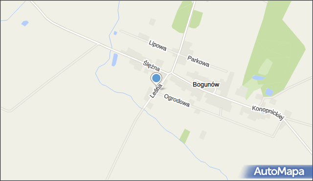 Bogunów, Leśna, mapa Bogunów