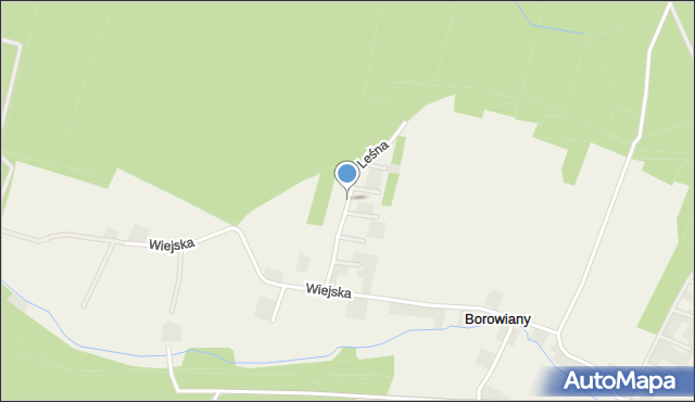 Borowiany, Leśna, mapa Borowiany