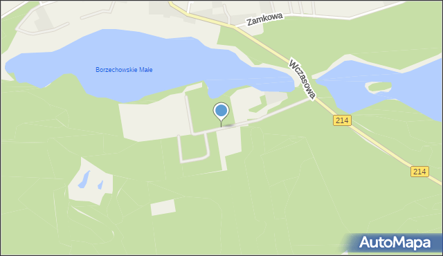 Borzechowo, Leśna Polana, mapa Borzechowo