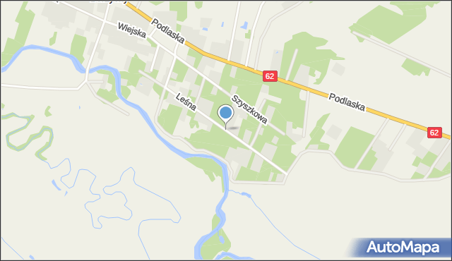 Borzychy, Leśna, mapa Borzychy