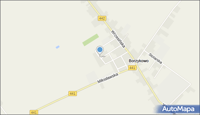 Borzykowo gmina Kołaczkowo, Leśna, mapa Borzykowo gmina Kołaczkowo