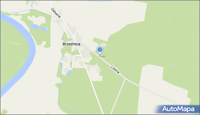 Brzeźnica gmina Dąbie, Leśna, mapa Brzeźnica gmina Dąbie