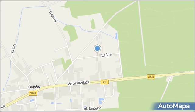 Byków, Leśna, mapa Byków