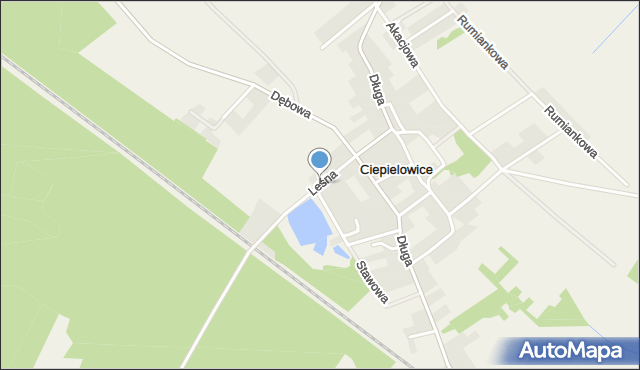 Ciepielowice, Leśna, mapa Ciepielowice