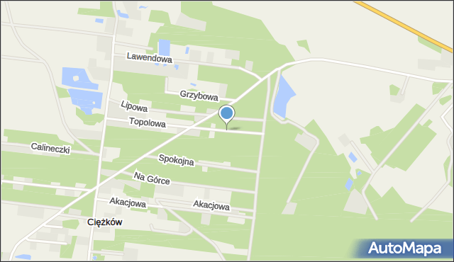 Ciężków gmina Aleksandrów Łódzki, Leszczynowa, mapa Ciężków gmina Aleksandrów Łódzki