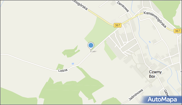 Czarny Bór, Leśna, mapa Czarny Bór