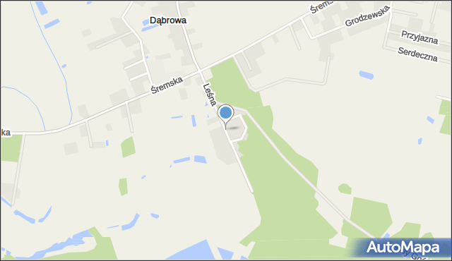 Dąbrowa gmina Śrem, Leśna, mapa Dąbrowa gmina Śrem