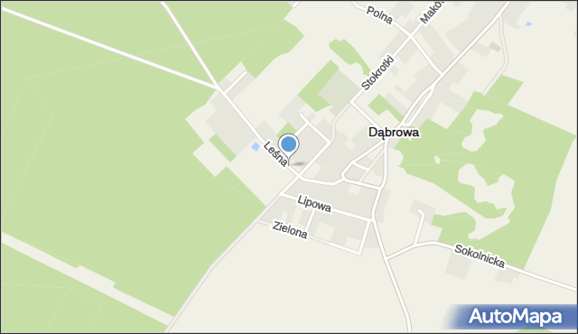 Dąbrowa powiat opolski, Leśna, mapa Dąbrowa powiat opolski